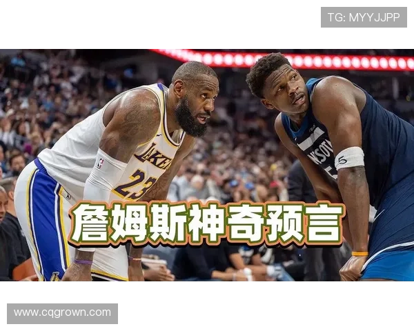 詹姆斯点评森林狼实力称西决潜力取决于迪林厄姆成长