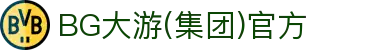 BG大游(集团)唯一官方网站